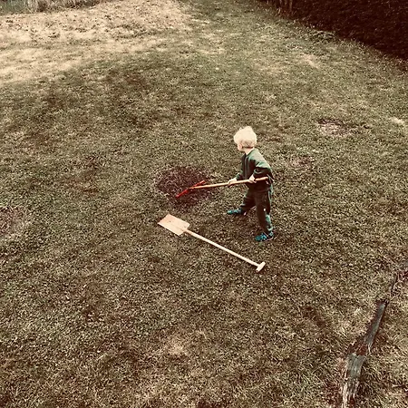 Nature, Chaleur, Calme Et Confort Au Coeur Des Ardennes Belges カントリーハウス ロシュフォール