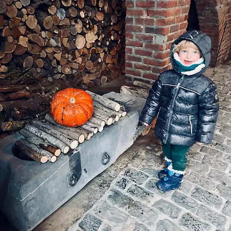 Nature, Chaleur, Calme Et Confort Au Coeur Des Ardennes Belges *