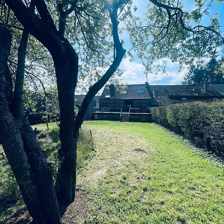 Nature, Chaleur, Calme Et Confort Au Coeur Des Ardennes Belges カントリーハウス