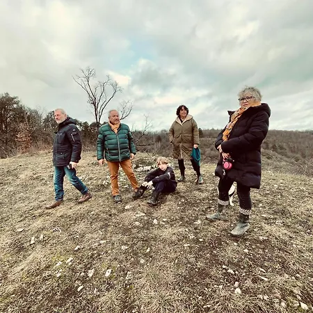 Nature, Chaleur, Calme Et Confort Au Coeur Des Ardennes Belges *