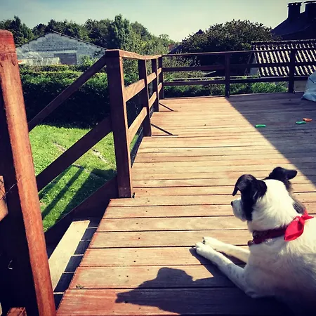 Nature, Chaleur, Calme Et Confort Au Coeur Des Ardennes Belges